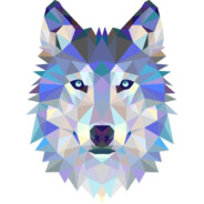 Mountain Wolf 🐺