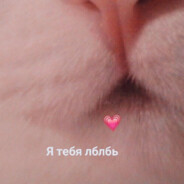 вагинальный блох