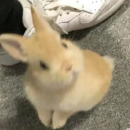 芜笙