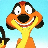TIMon