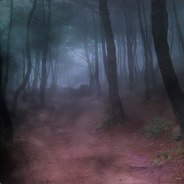 Dark Beyond