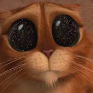 MEOW