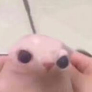 BINGUS
