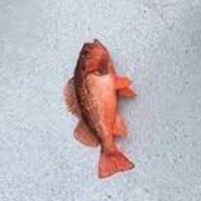 Pog the Fishman