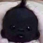 baby avram