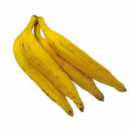 Banana-da-terra