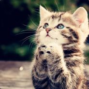 [                  ]
