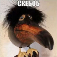 grekkka