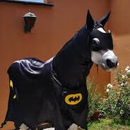 batman who neighs