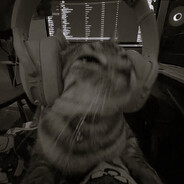 505