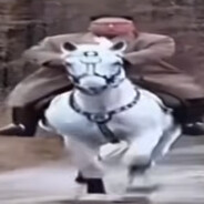 忠橙