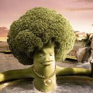 Lipton22.