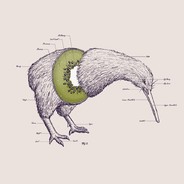 Kiwi
