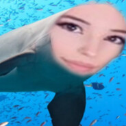 XD-Dolphine-XD
