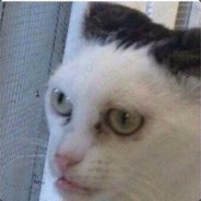 [КлоуН] ЗакЛюЧониЙ