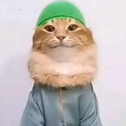 hoppidik