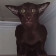 𝗞𝗛𝗢𝗙𝗕𝗘