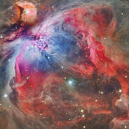 Orion