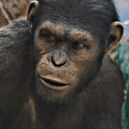 Apes Together Strong