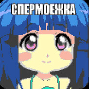 Писек Дестроер