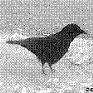 SlickBirdMan