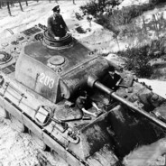ncs maus
