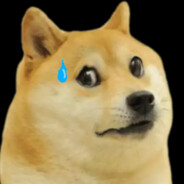 Dog Liquids