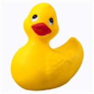el pato msn