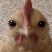 https://avatars.fastly.steamstatic.com/8b040e56c013ce9887c1ec930b6a6b1faea7b45e_full.jpg