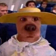 Cachorro do goleiro bruno