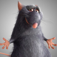 BIG_RAT