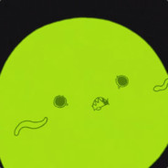 Meechcola