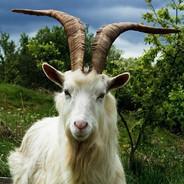 GOAT