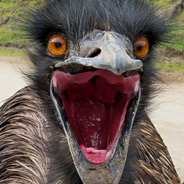 ANGRY Syberian