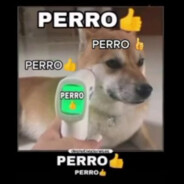 PERROthumbsup