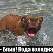 ПсиНА