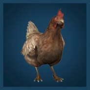 Chicken