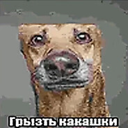 buk1