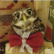 hootdat