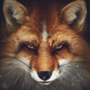 KevinCZFOX
