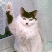 Ola