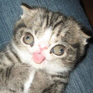 Whiskey