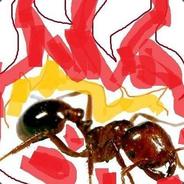 Spicy Boys