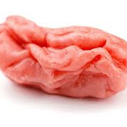the gum i chewed yesterday
