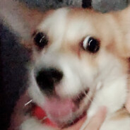 今天我打鱼