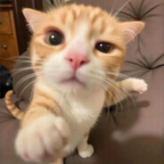 meganegidi
