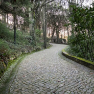 Forsaken Sintra
