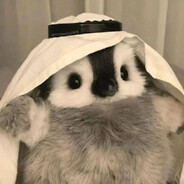 Pinguiniv!