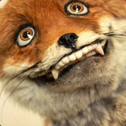 ShitFox