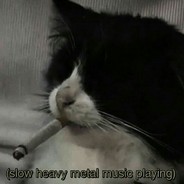 Maupa